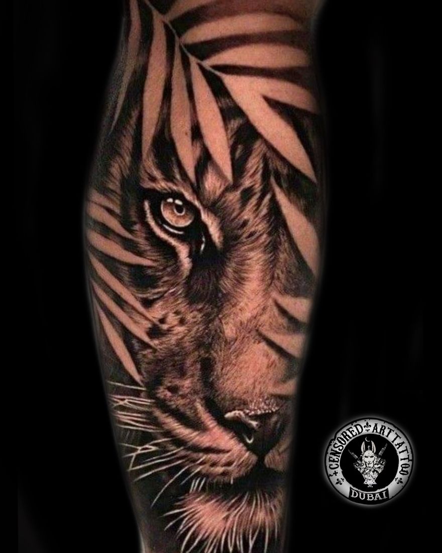Tiger, black and grey realism